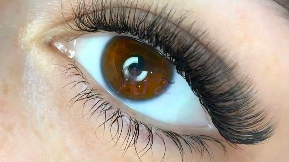 مژه