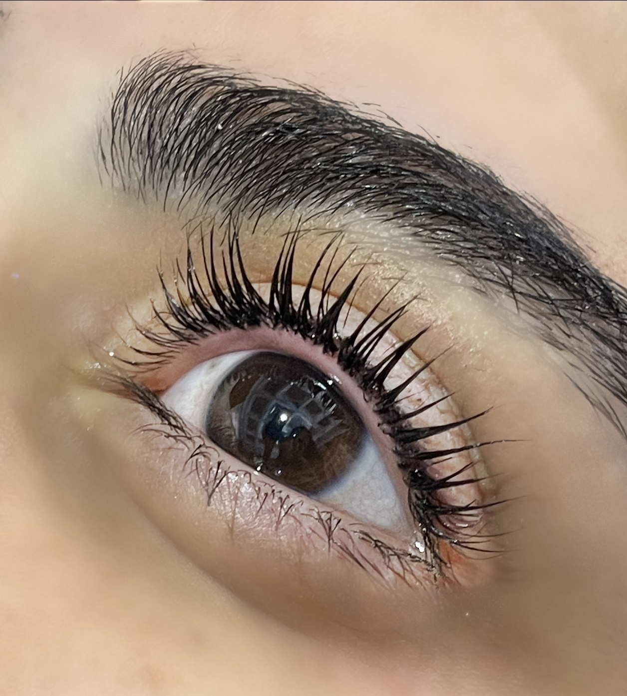 لیفت و لمینیت تخصصی مژه و ابرو 